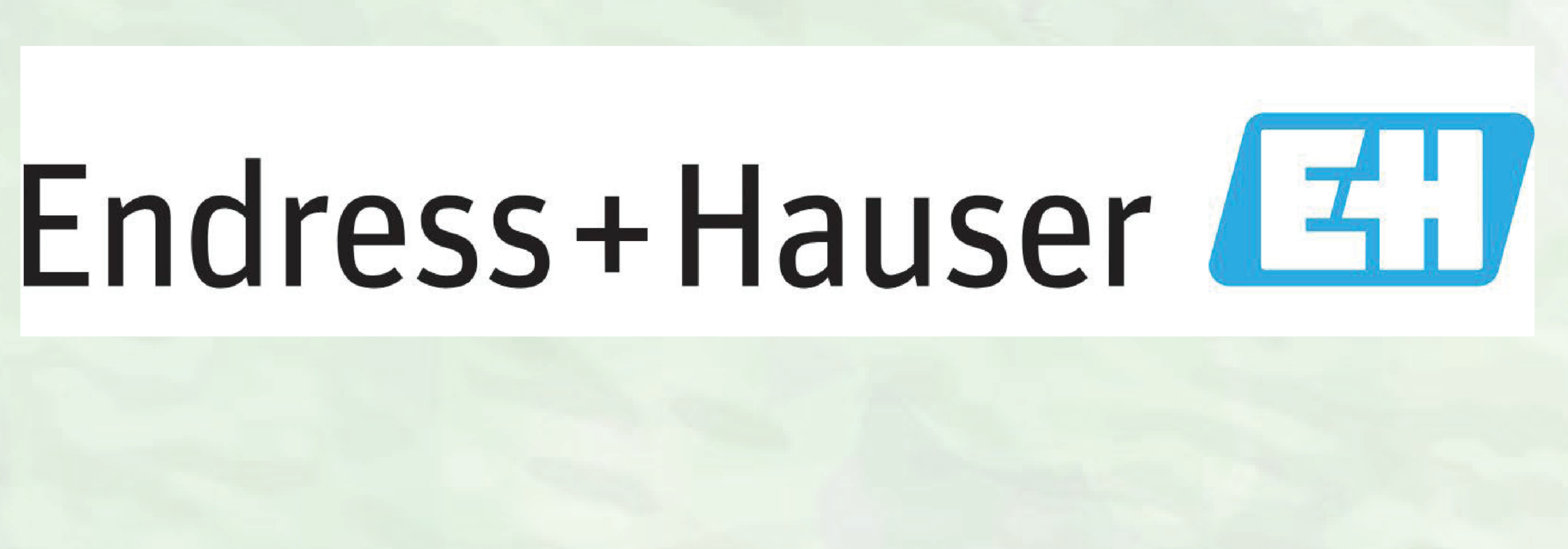 Endress+Hauser